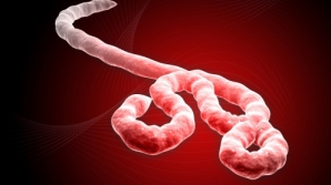 В кишиневском аэропорту два человека попали под подозрение на вирус Эбола