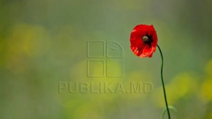 6 августа будет не так жарко, но желтый код метеоопасности остается в силе