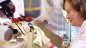 Эксперты ВОЗ собираются на экстренное заседание, чтобы обсудить способы борьбы с распространением Эболы