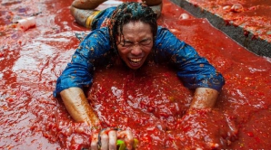 Голландцы устроили помидорные бои в знак протеста против эмбарго РФ