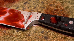 Подробности убийства ребенка в Леовском районе: мать невменяема, родственники в шоке 