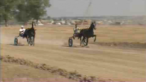 К 225 годовщине основания Комрата в городе прошли скачки