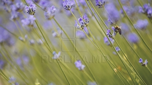 2 сентября на юге Молдовы столбик термометра поднимется до 29 градусов