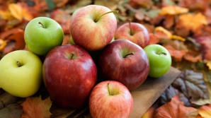 Экспорт молдавских яблок в Белоруссию вырос в 24 раза