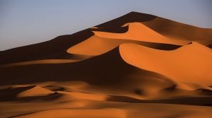 Google с помощью верблюда создала виртуальный тур по пустыне Лива (ВИДЕО)