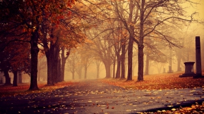 22 октября в Молдове будет пасмурно