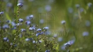 Неделя заканчивается солнечной погодой