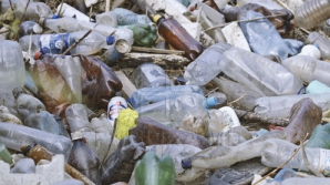 Мусорные свалки - источник дохода: группа людей получает за сбор отходов по 700 леев в день