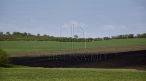В Молдове 14 октября будет солнечно, ветер слабый