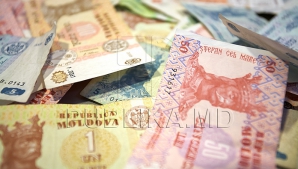 Меньше, чем ожидалось, получат от государства производители яблок