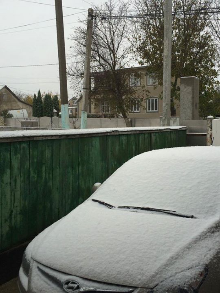 Зима в Молдове: первые хлопья снега выпали на севере страны (ФОТО/ВИДЕО)