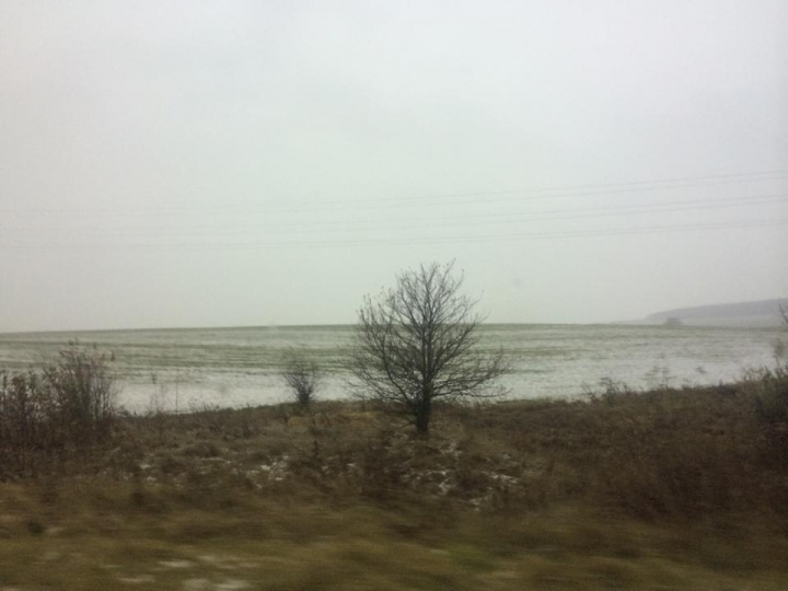 Зима в Молдове: первые хлопья снега выпали на севере страны (ФОТО/ВИДЕО)