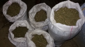 Рекордную партию наркотиков обнаружила кишиневская полиция (ВИДЕО)