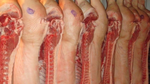 Белоруссия временно приостановила импорт свинины из нашей страны