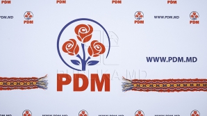 Европейские социалисты поддерживают предвыборную программу ДПМ