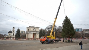 Главную ёлку страны установят на площади Великого национального собрания