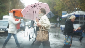 Синоптики объявили желтый код мететоопасности в связи с ливнями