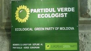 Зелёная экологическая партия: Женщин в парламенте и правительстве должно быть не меньше половины