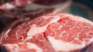 Одесский депутат попался на контрабанде неизвестного мяса под видом рыбы