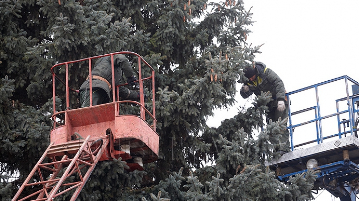 Главную рождественскую ель страны завтра установят на центральной площади Кишинева