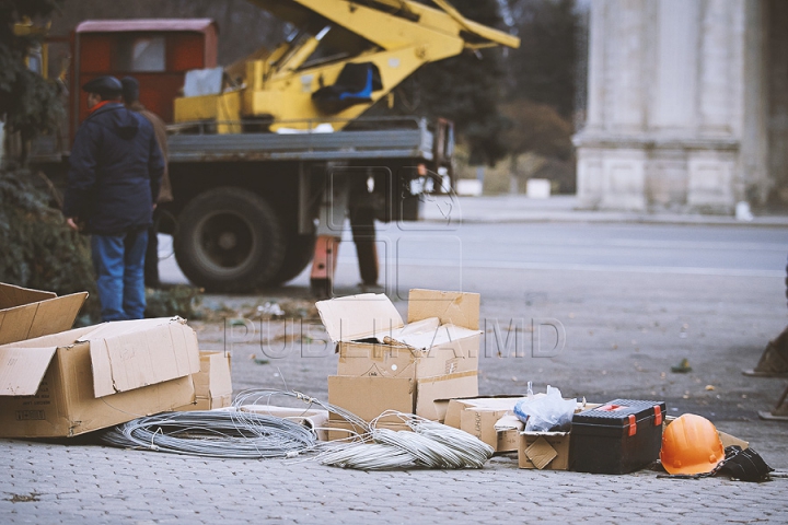 Рождественскую ель установили в центре столицы (ФОТО) 