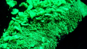 Полиция разоблачила группировку, которая занималась продажей урана