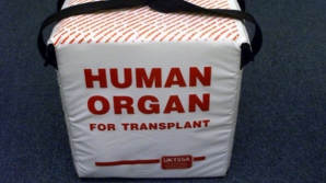 Количество клиник с разрешением на работу с донорскими тканями и органами растет