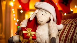 Поверья о том, как встретить год деревянной козы, чтобы везло