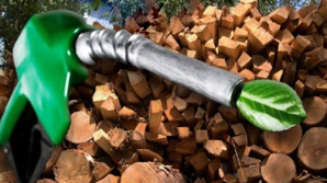 Топливо из биомассы вместо угля и газа - будущее нашей страны