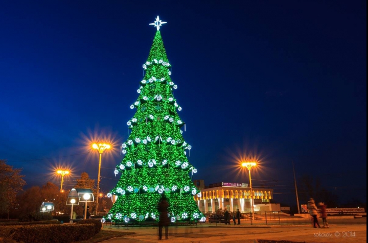 В Тирасполе установлена новогодняя елка (ФОТО)