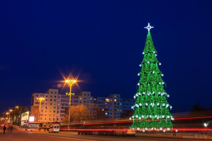 В Тирасполе установлена новогодняя елка (ФОТО)