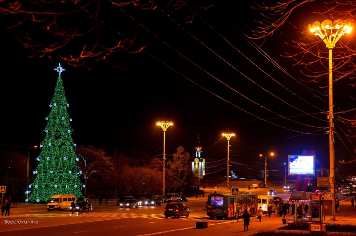 В Тирасполе установлена новогодняя елка (ФОТО)