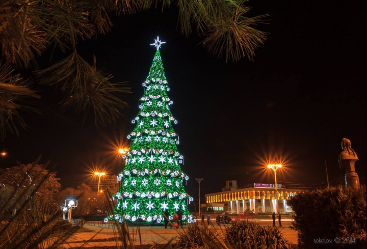 В Тирасполе установлена новогодняя елка (ФОТО)