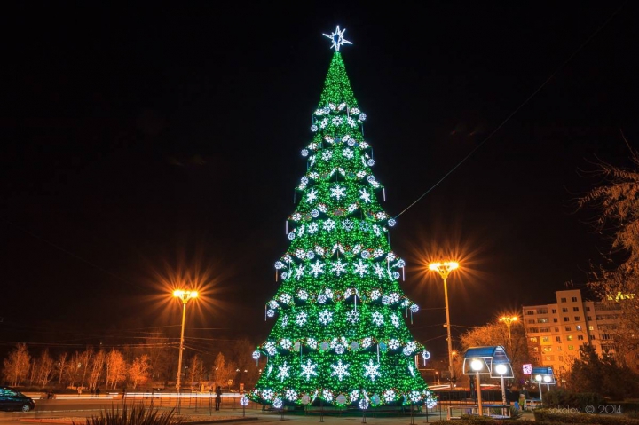 В Тирасполе установлена новогодняя елка (ФОТО)