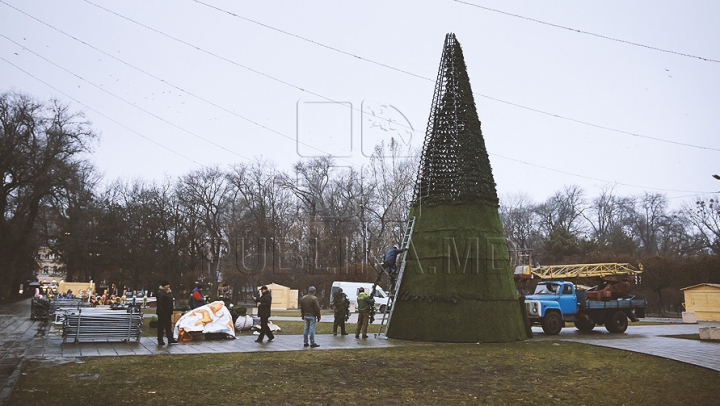 Две елки в центре столицы: рабочие устанавливают искусственную елку (ФОТО)