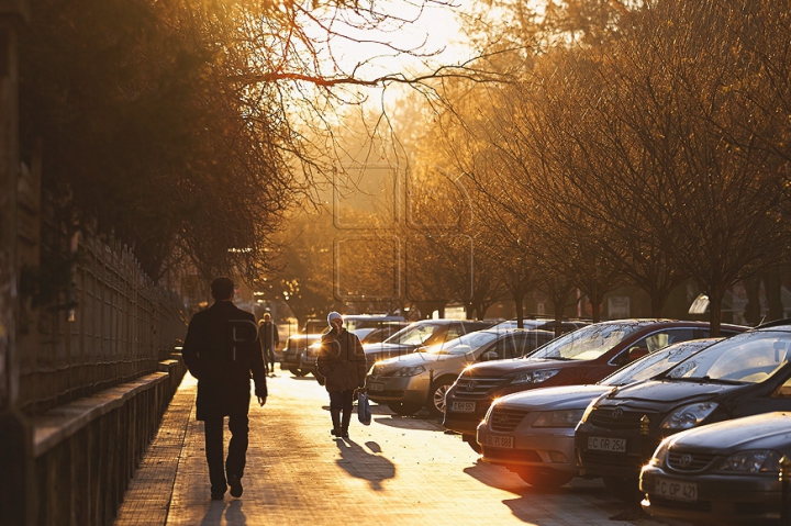 (ФОТОГАЛЕРЕЯ) Не по-зимнему солнечный Кишинев