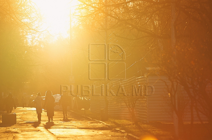 (ФОТОГАЛЕРЕЯ) Не по-зимнему солнечный Кишинев