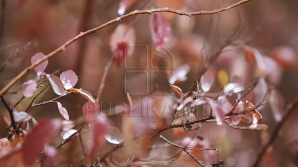 28 января в Молдове ожидается ясная и солнечная погода без осадков