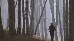 По всей стране объявлен желтый код метеоопасности в связи с туманом