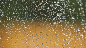 20 января в стране ожидаются дожди