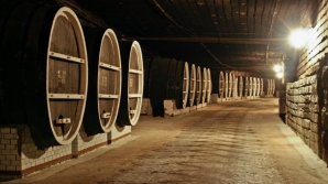 Необычное спортивное соревнование: забег в винном подвале (ВИДЕО)