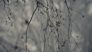 29 января в Молдове будет тепло, но пасмурно