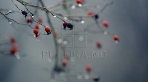 16 декабря в Молдове пасмурно, возможен слабый снег