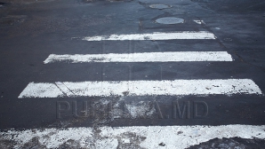 Ботаника: на пешеходном переходе мужчина попал под колеса автомобиля