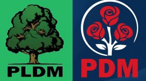 Лупу предлагает: Коалиция должна быть создана в формате ДПМ и ЛДПМ