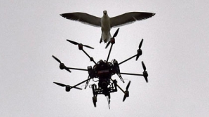 Беспилотник с метамфетамином разбился в Мексике