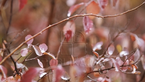 В Кишиневе 18 февраля будет до -2