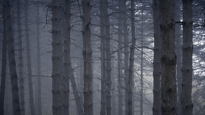 В первый выходной день в Молдове ясно и относительно тепло