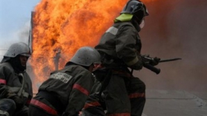 В заповеднике «Пэдуря Домняскэ» сгорел дотла летний домик