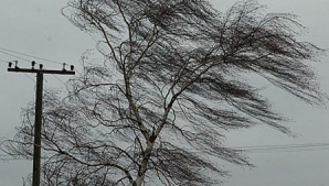 6 февраля в Молдове будет ветренно, на дорогах гололедица